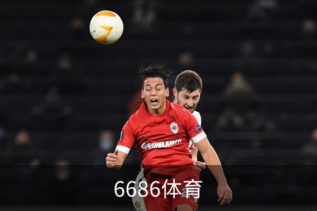 6686体育公司简介配图